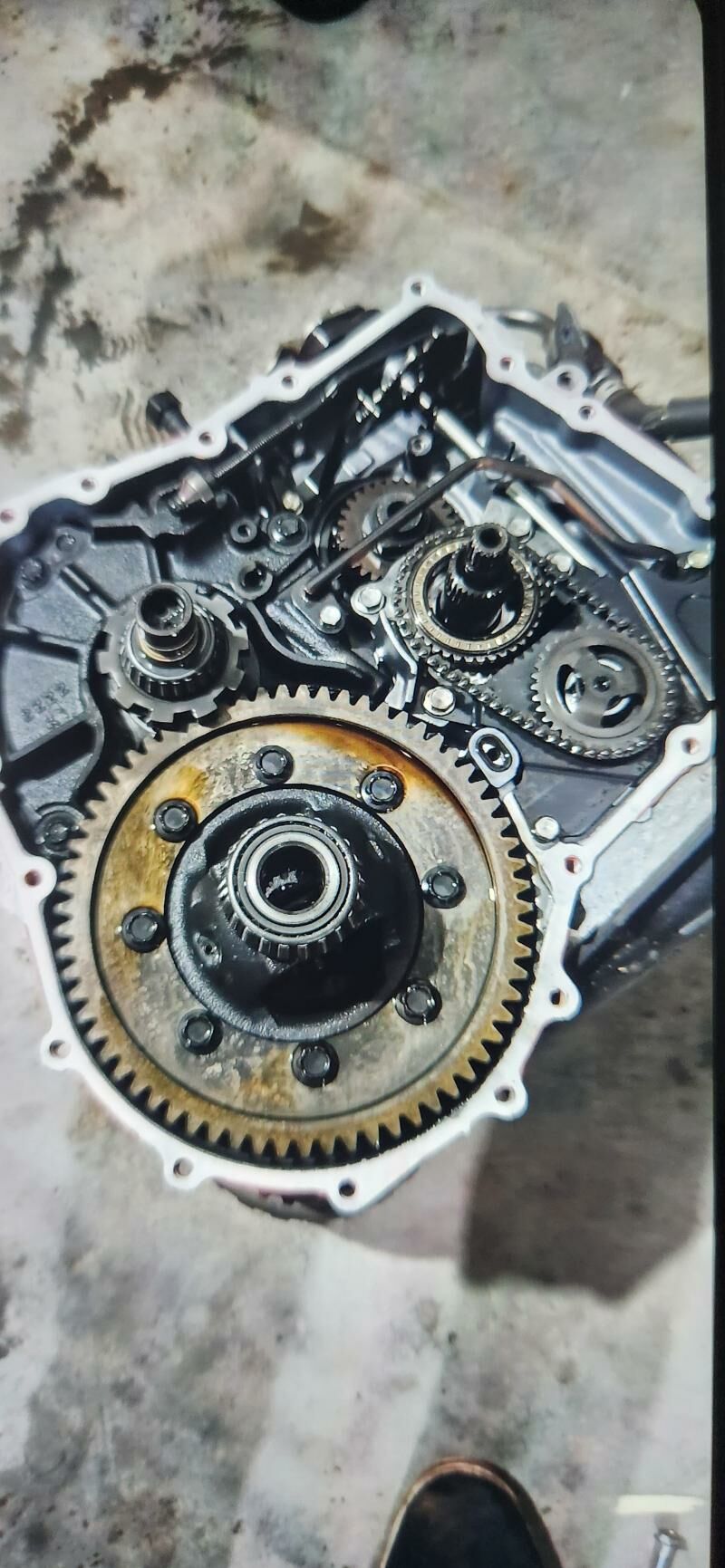 Sentra karopga 7 000 TMT - Хитровка - img 4