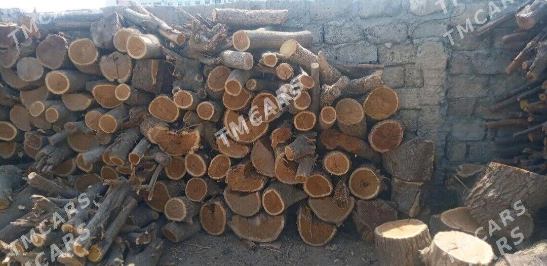 Kafelar we Toy Sadaka ucn Odun - Aşgabat - img 1