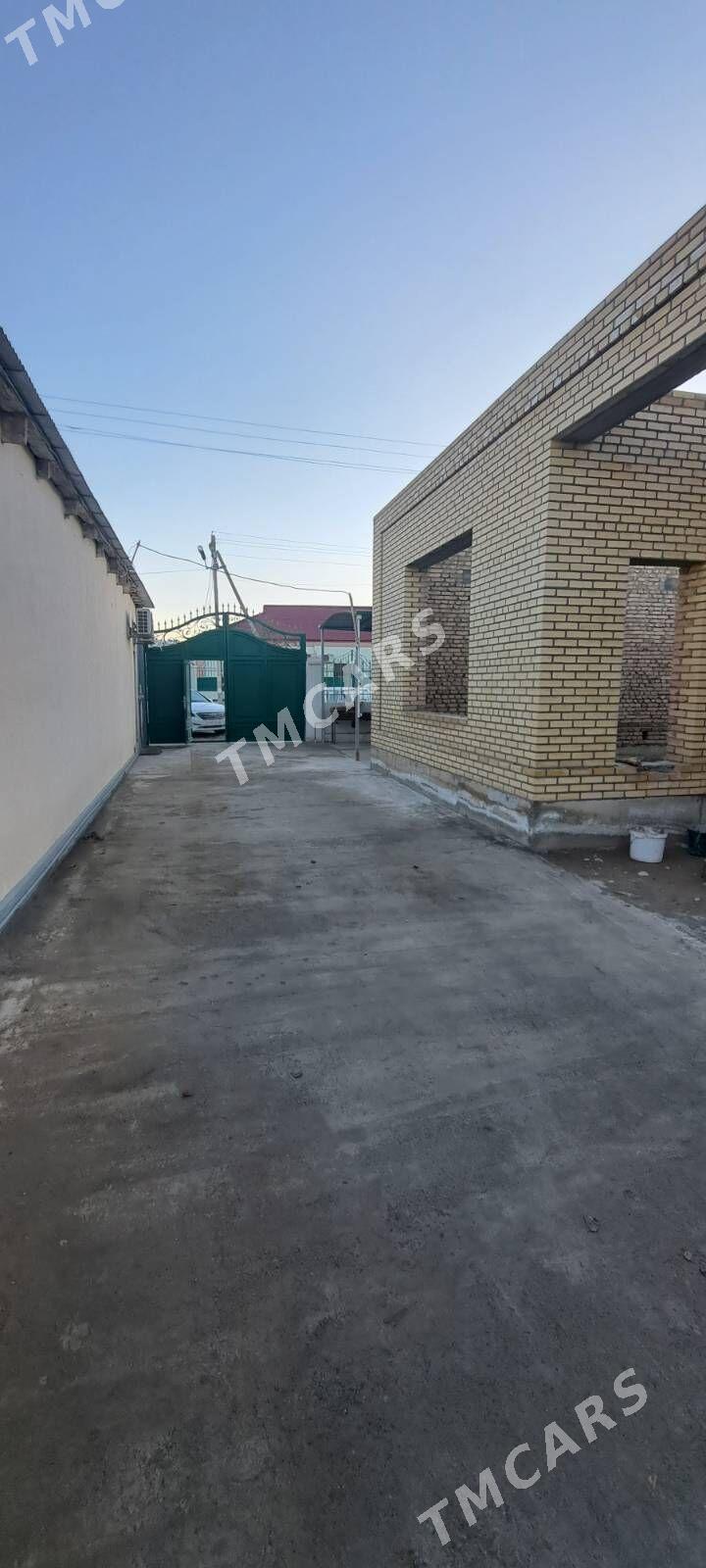 Satlyk Anew - Ak bugdaý etraby - img 5