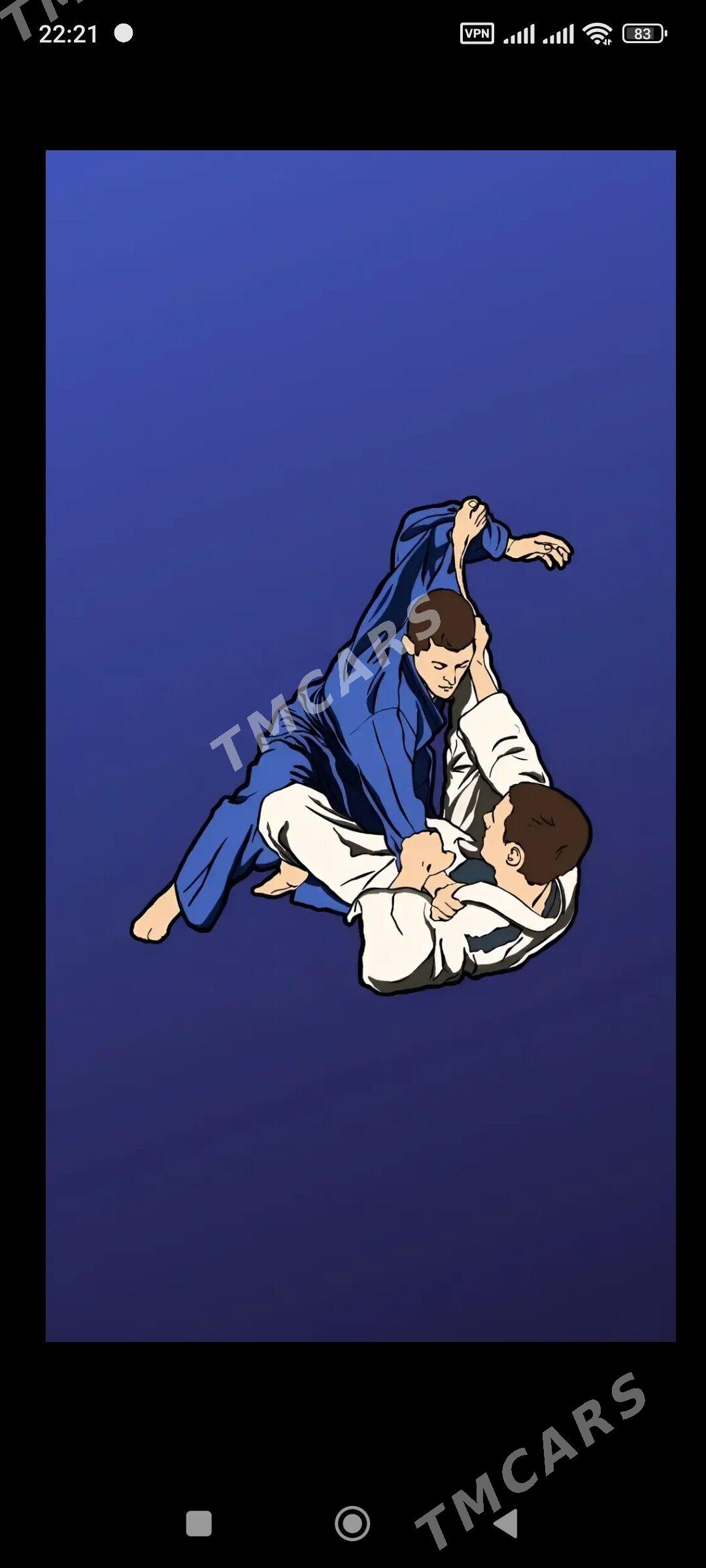 Judo/sambo öwretýäris.Дзюдо - Улица Ататурка - img 3