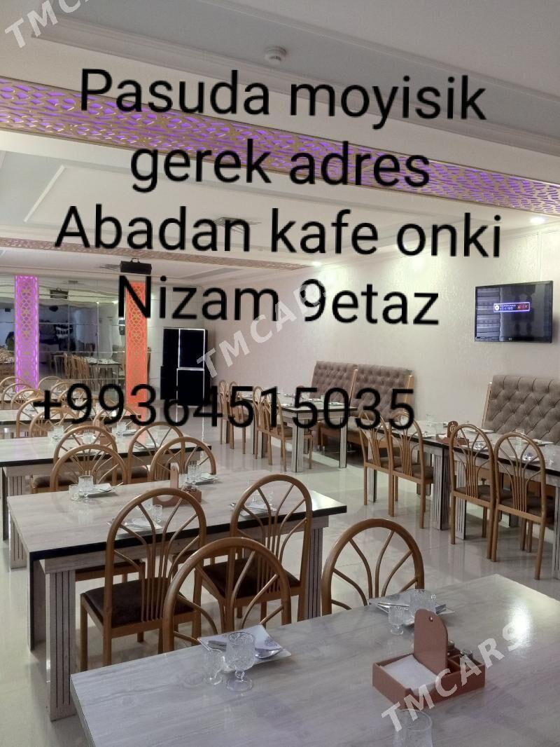 Pasuda moyisik gerek - Daşoguz - img 2