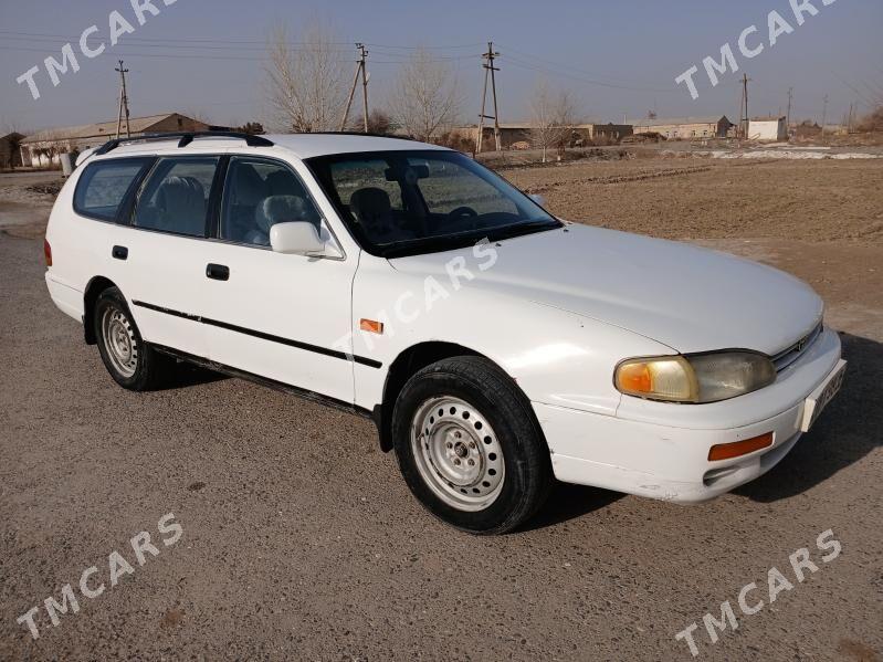 Toyota Camry 1997 - 60 000 TMT - Halaç - img 5