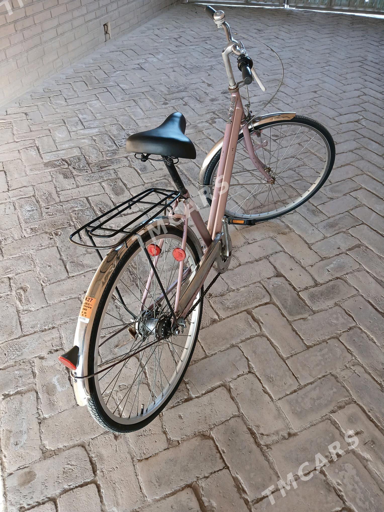 Welisoped - Halaç - img 2