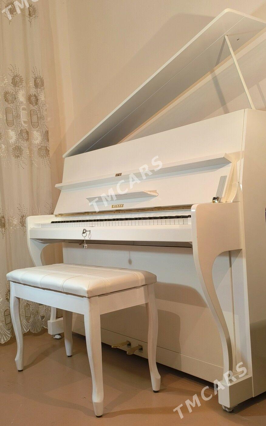Pianino Wagner пианино  - Ашхабад - img 9