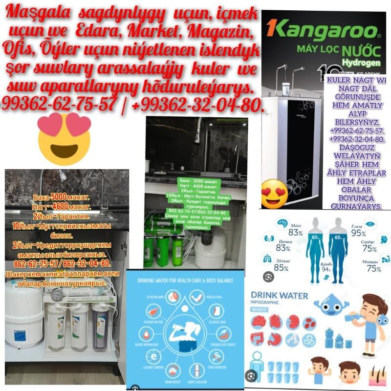 Kangaroo  suw  aparad - Ruhubelent etraby - img 3