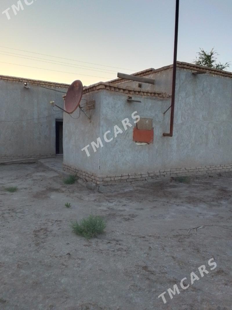 Satlyk jaŷ - Türkmenbaşy etr. - img 4
