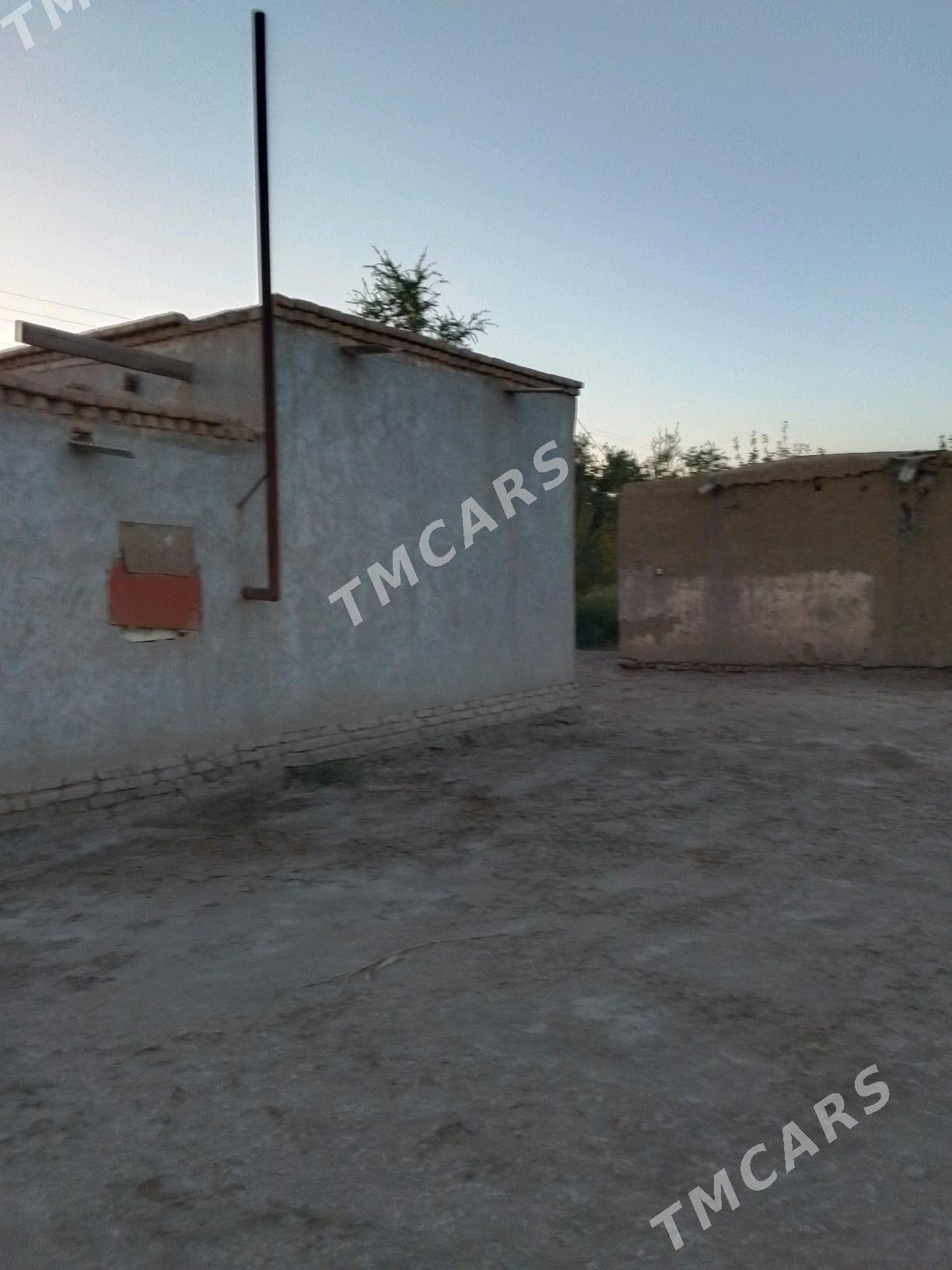 Satlyk jaŷ - Türkmenbaşy etr. - img 7