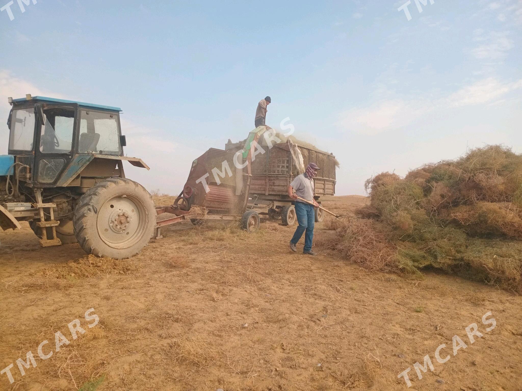 MTZ 80 2000 - 20 000 TMT - Ёлётен - img 2