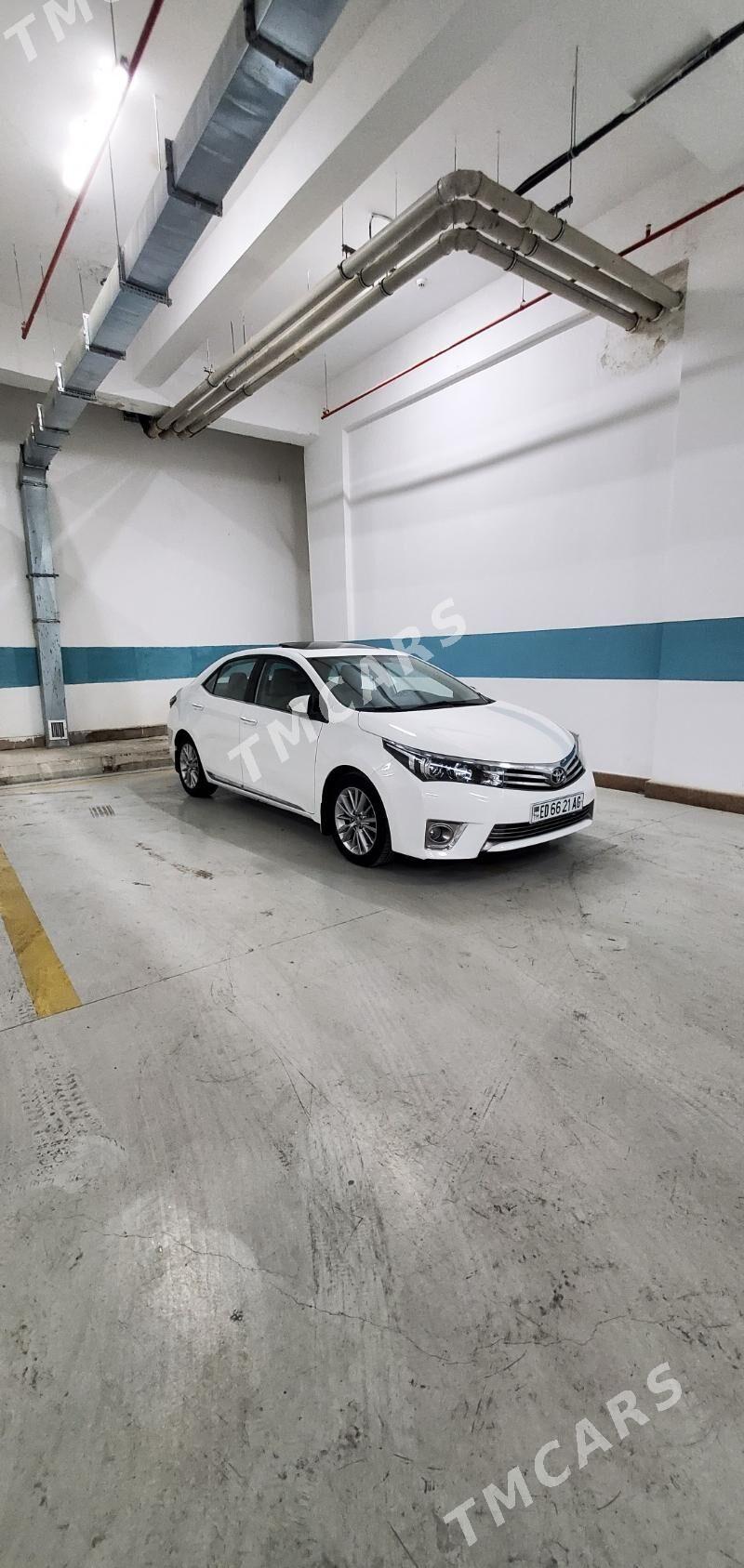 Toyota Corolla 2014 - 255 000 TMT - 15-й этап - img 5