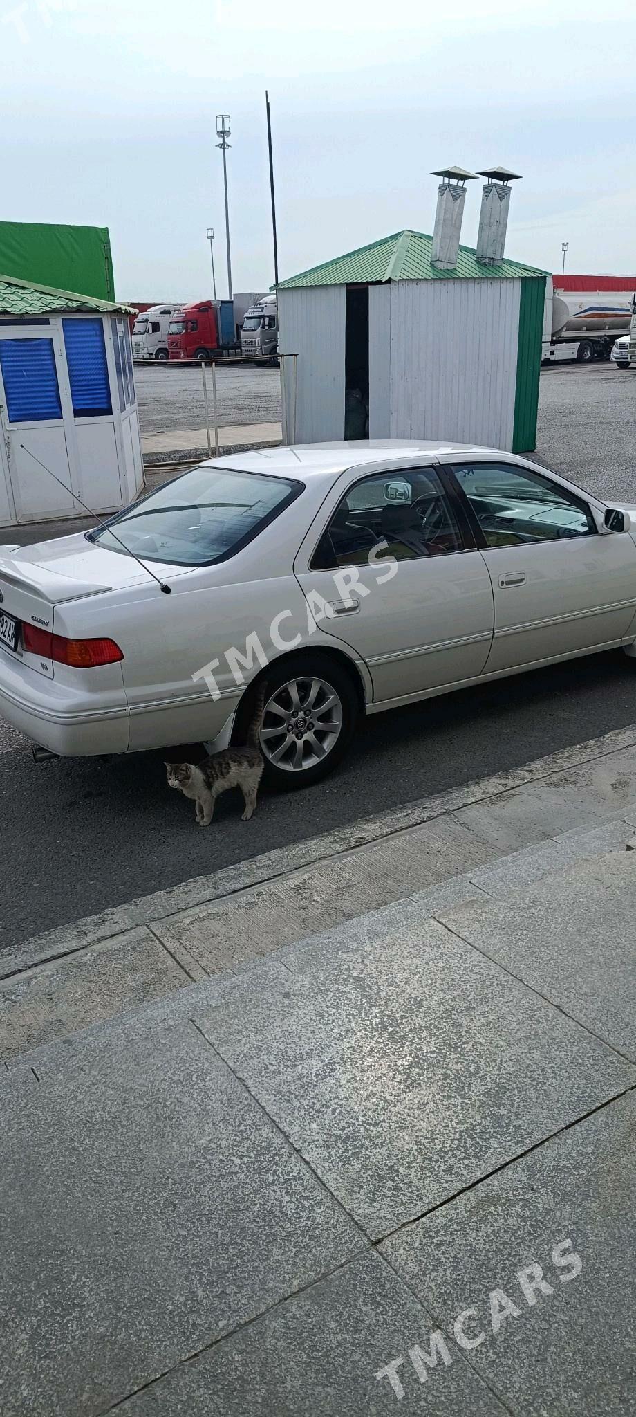 Toyota Camry 2001 - 135 000 TMT - Änew - img 3