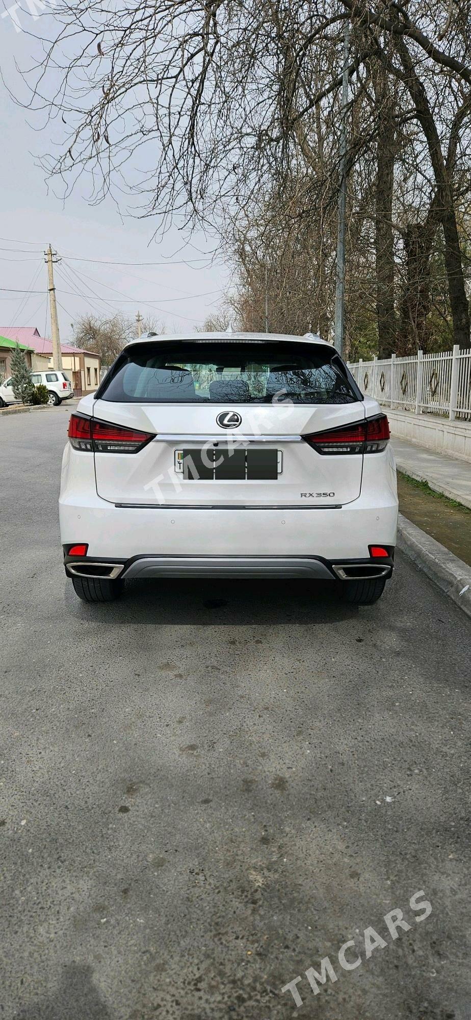 Lexus RX 350 2021 - 810 000 TMT - Ашхабад - img 3