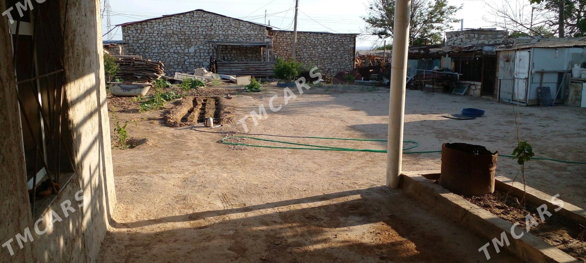 Ayraport Daça - Türkmenbaşy - img 4