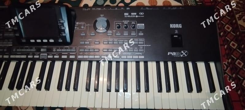 Korg Pa3x 76k - Койтендаг - img 3