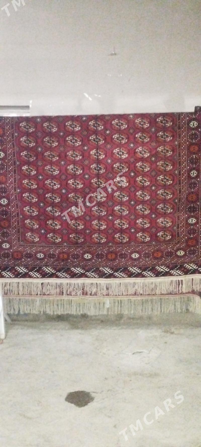 Haly turkmen. - Mary - img 1