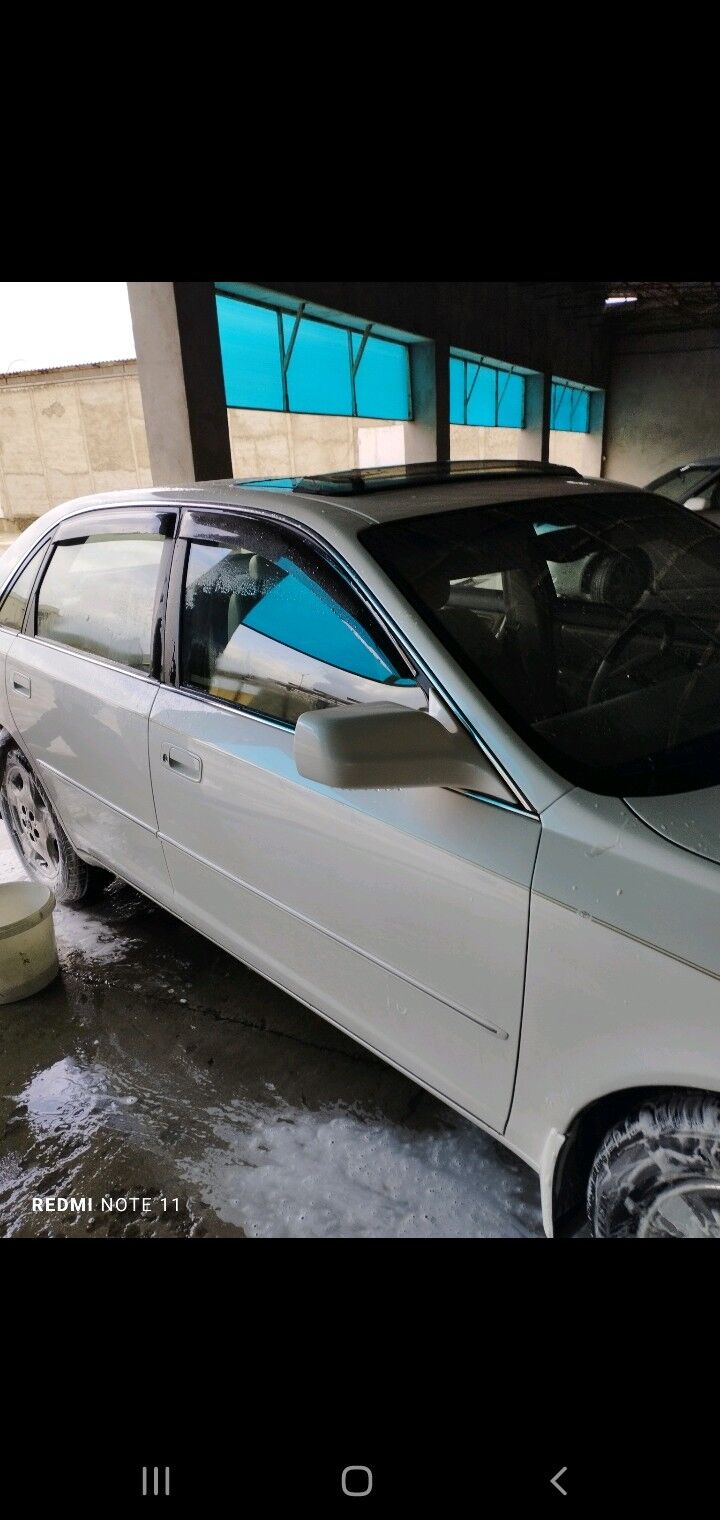 kazoryok 60 TMT - Гёкдепе - img 2