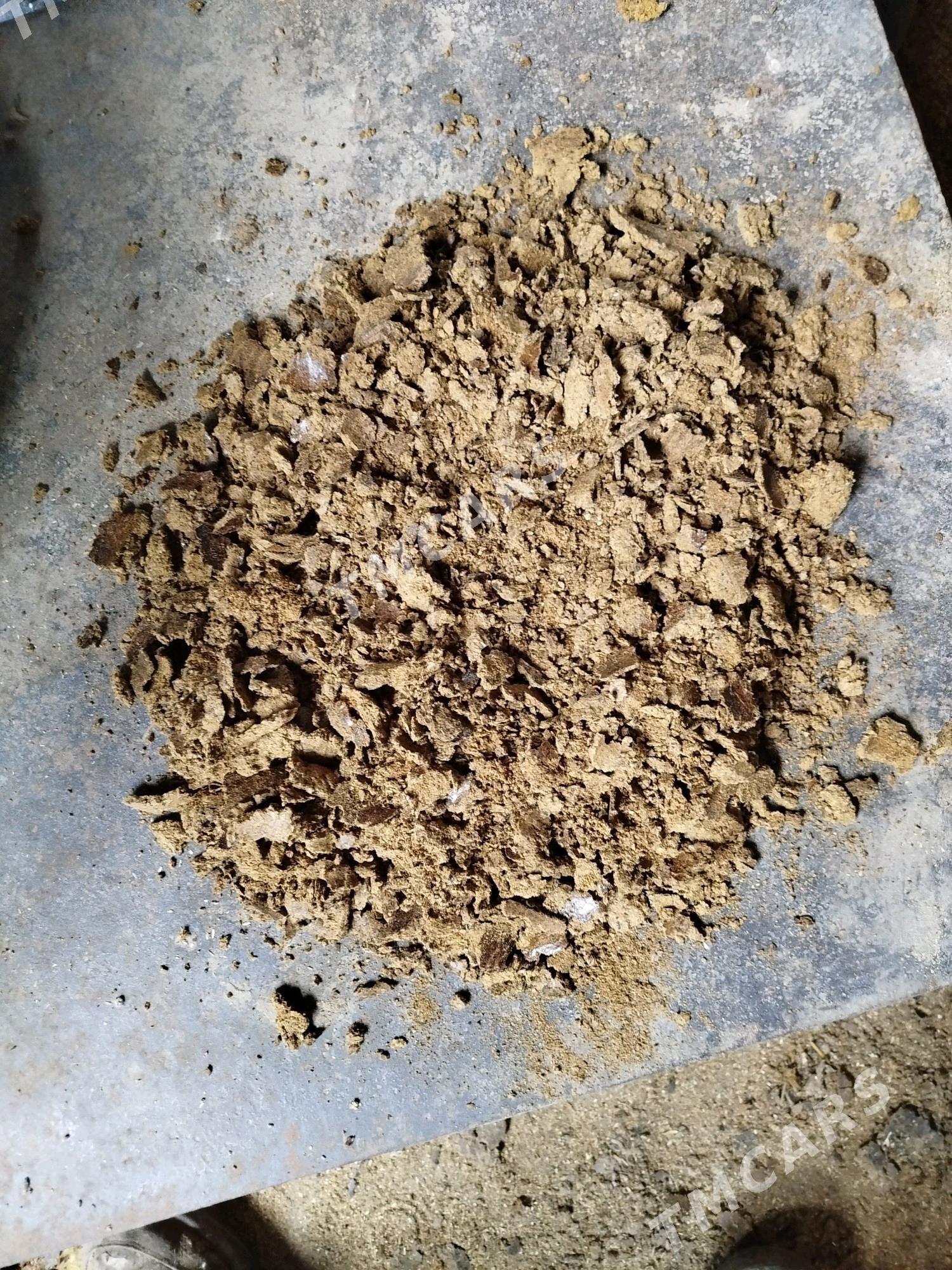 kunjara - Mary - img 1