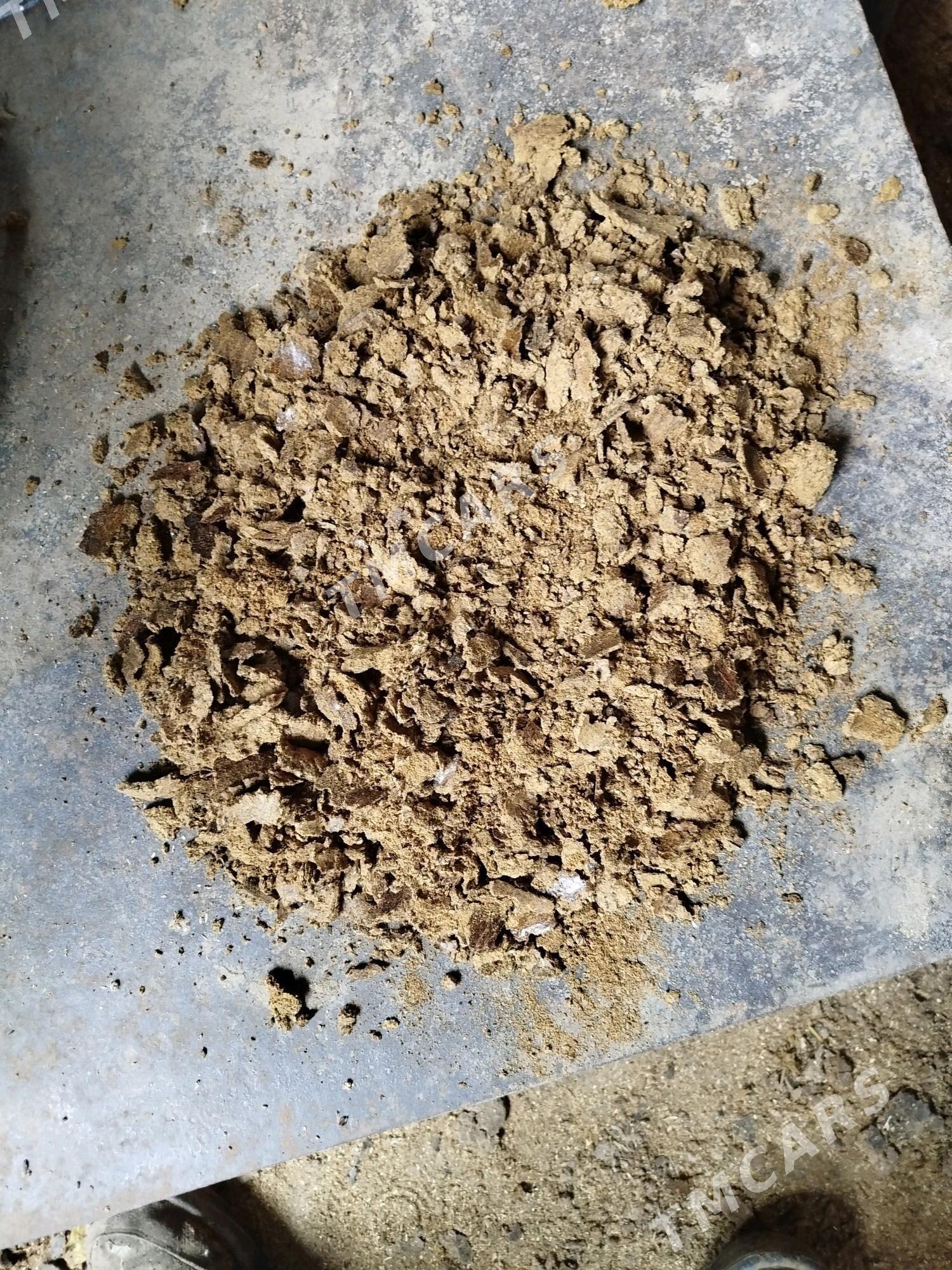 kunjara - Mary - img 2