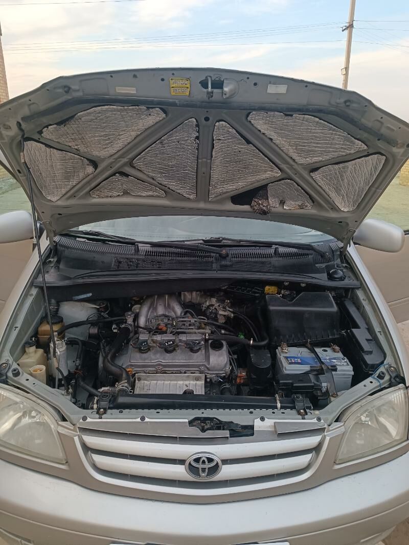 Toyota Sienna 2002 - 143 000 TMT - Мары - img 8