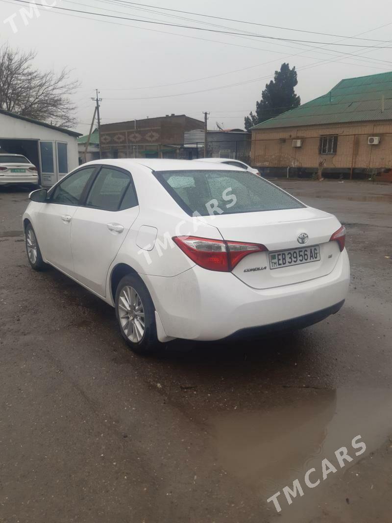 Toyota Corolla 2014 - 165 000 TMT - Бедев - img 6