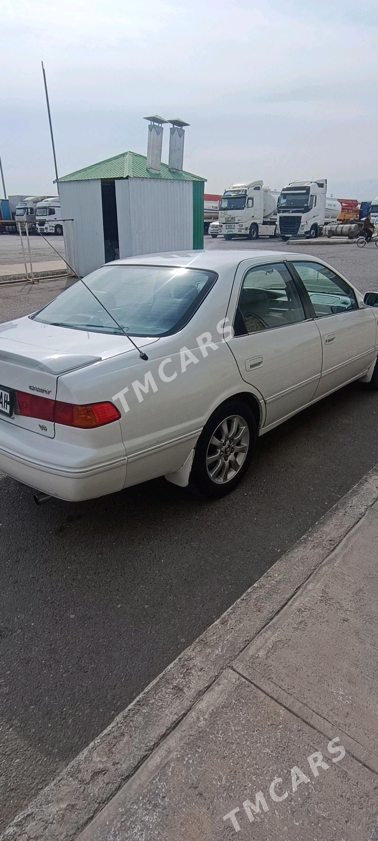 Toyota Camry 2001 - 135 000 TMT - Ак-Бугдайский этрап - img 6