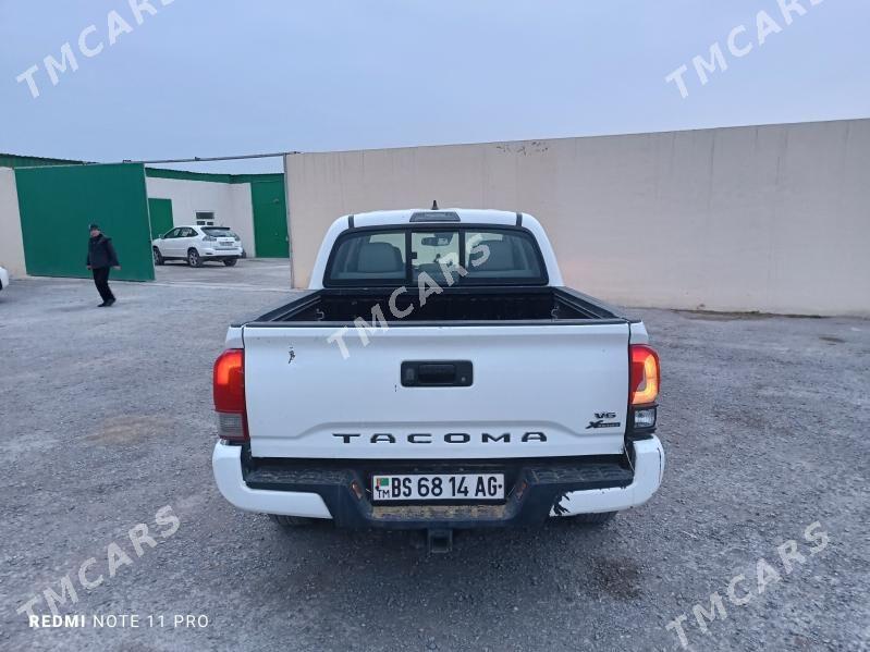 Toyota Tacoma 2019 - 315 000 TMT - Ашхабад - img 2