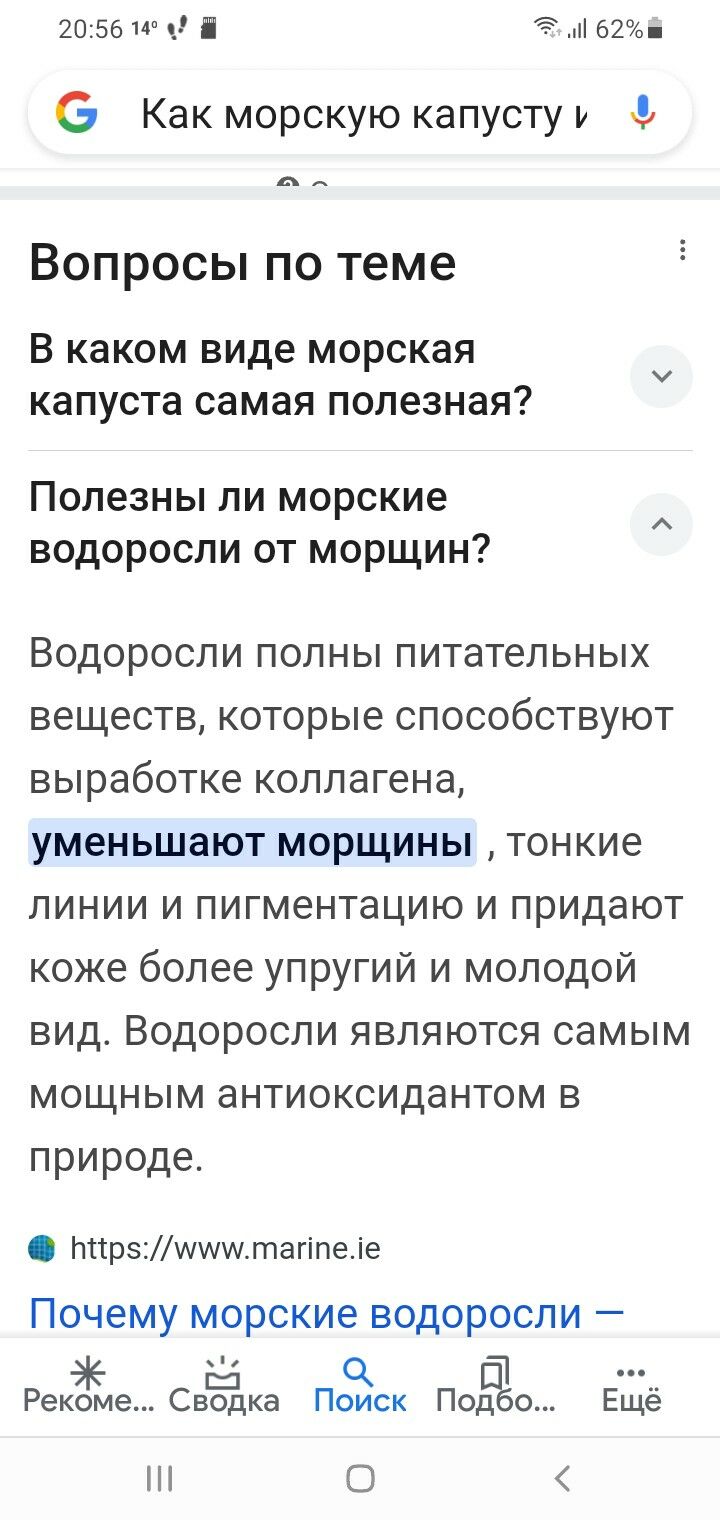ламинария морская капуста - 6 мкр - img 3