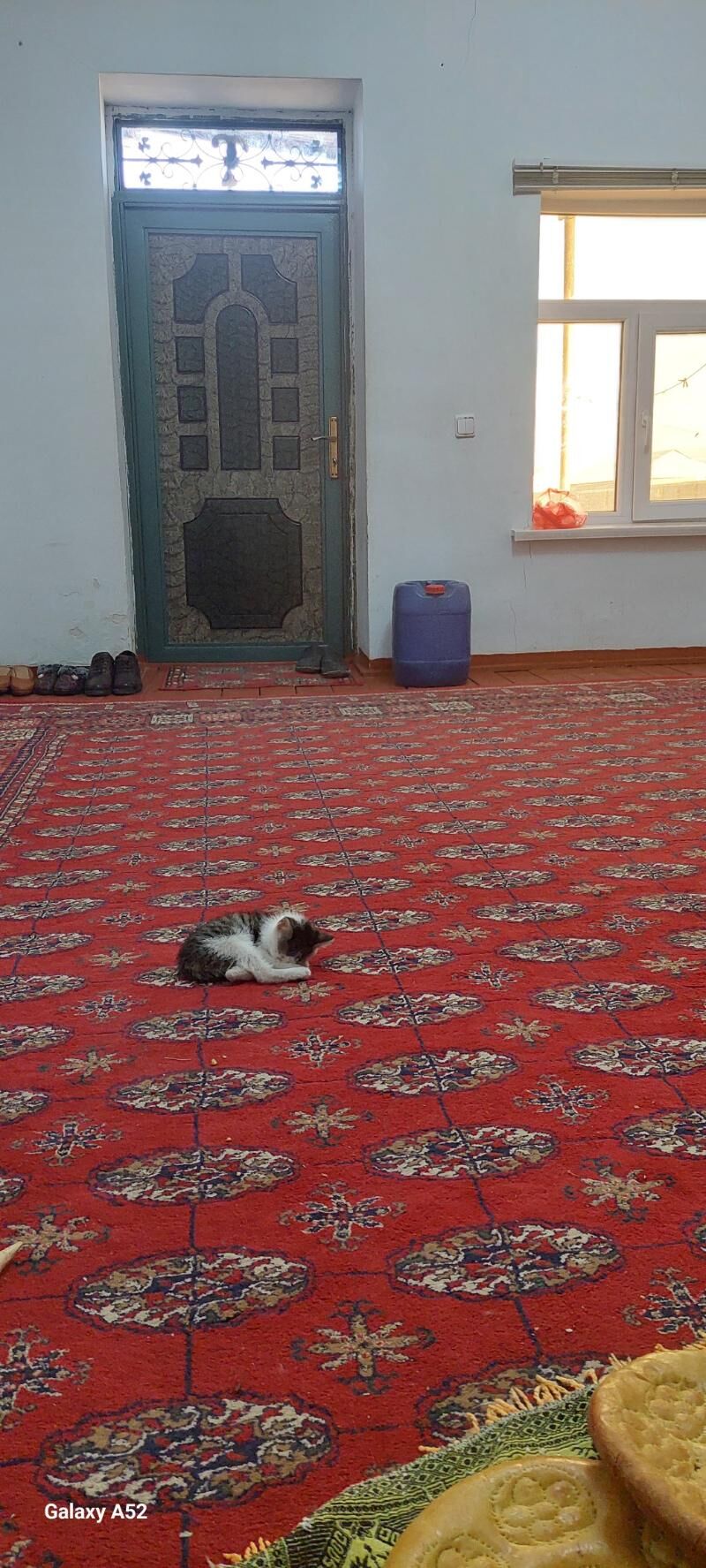 Jay Akdepe şäher - Akdepe - img 5