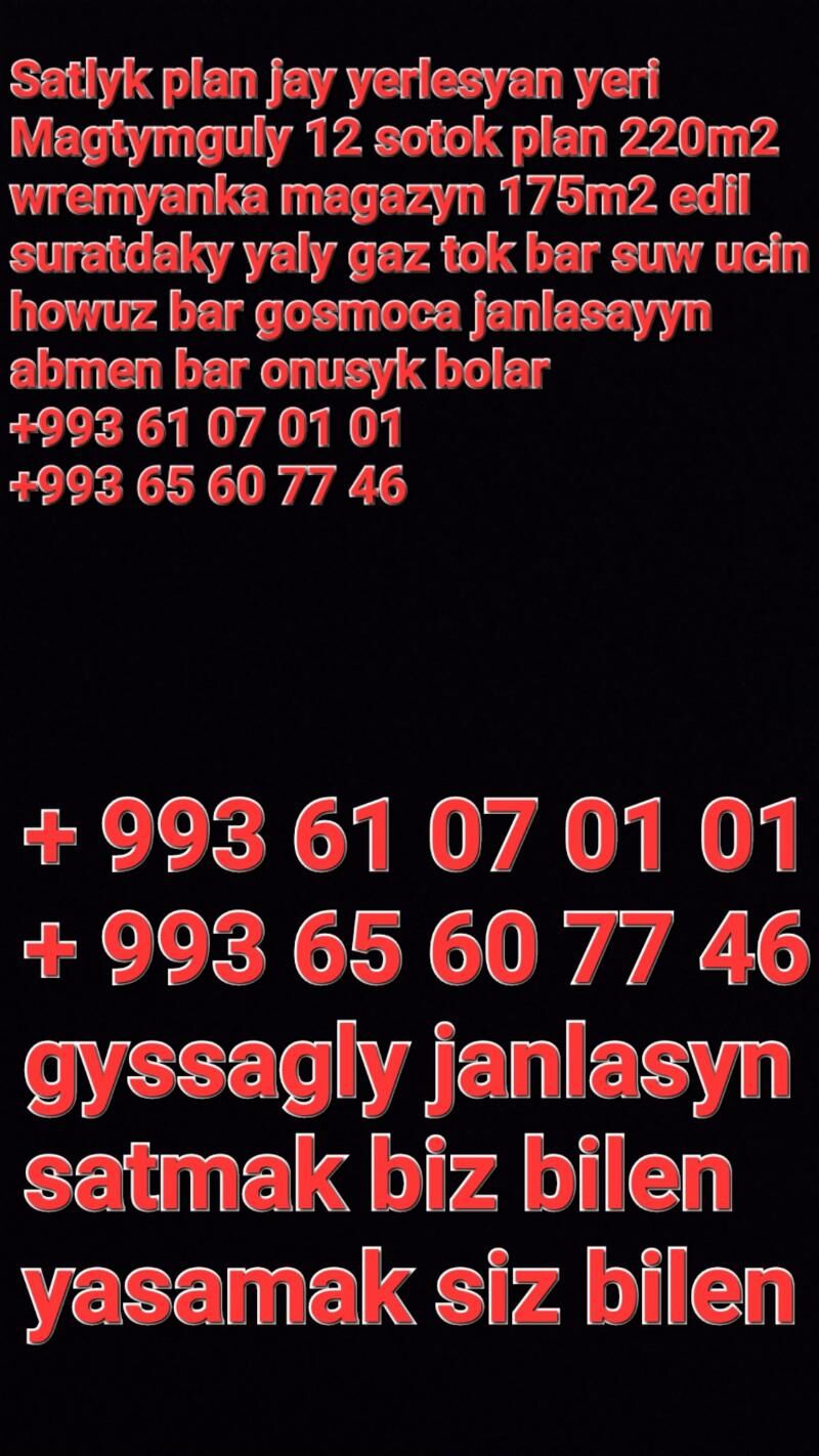 Magtymguly plan jay - Ak bugdaý etraby - img 10