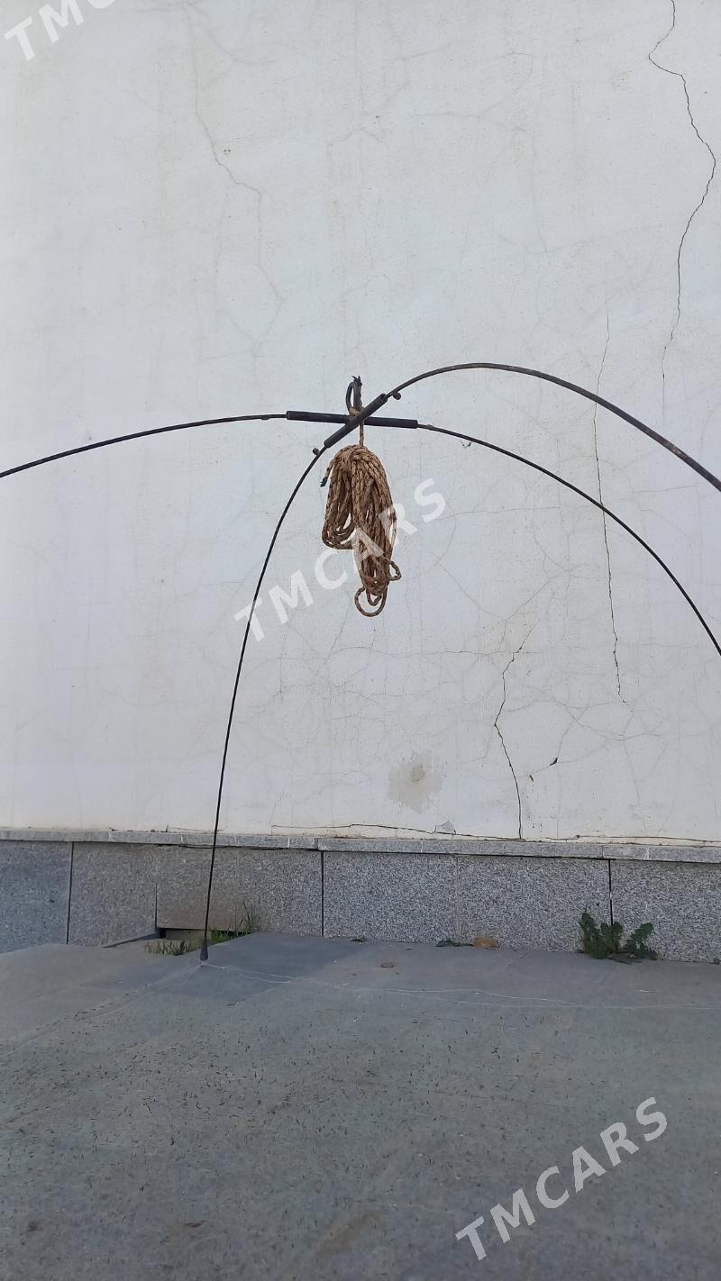 Рыболовный паук - Aşgabat - img 3