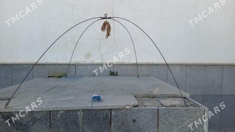 Рыболовный паук - Aşgabat - img 2
