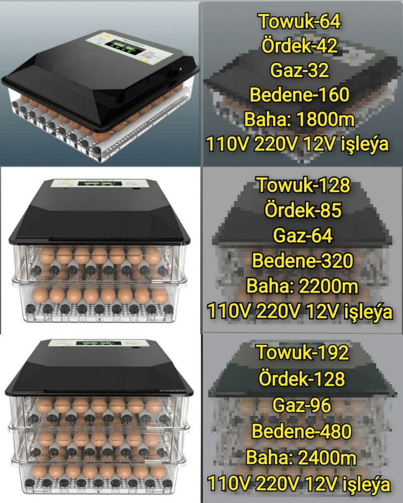 Taşkent Dakan Baýsow Horaz - Aşgabat - img 10