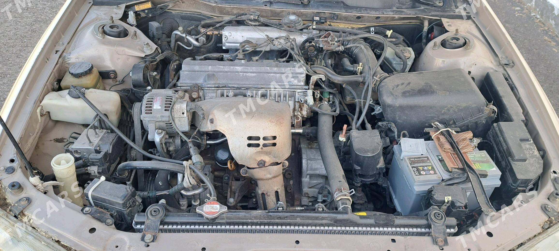 Toyota Camry 1998 - 92 000 TMT - Daşoguz - img 5