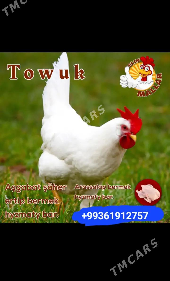 towuk - Garadamak - img 3