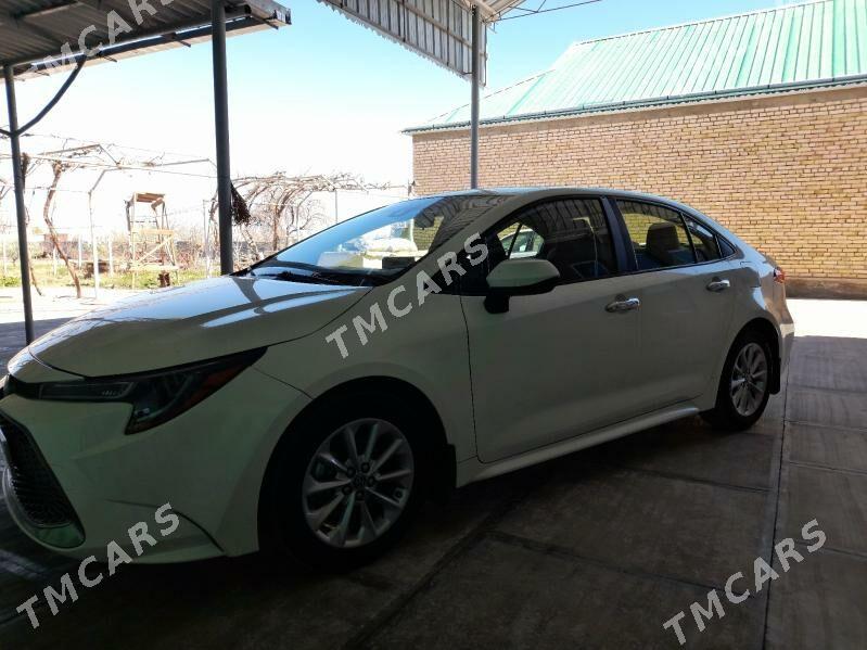 Toyota Corolla 2020 - 240 000 TMT - Кака - img 3