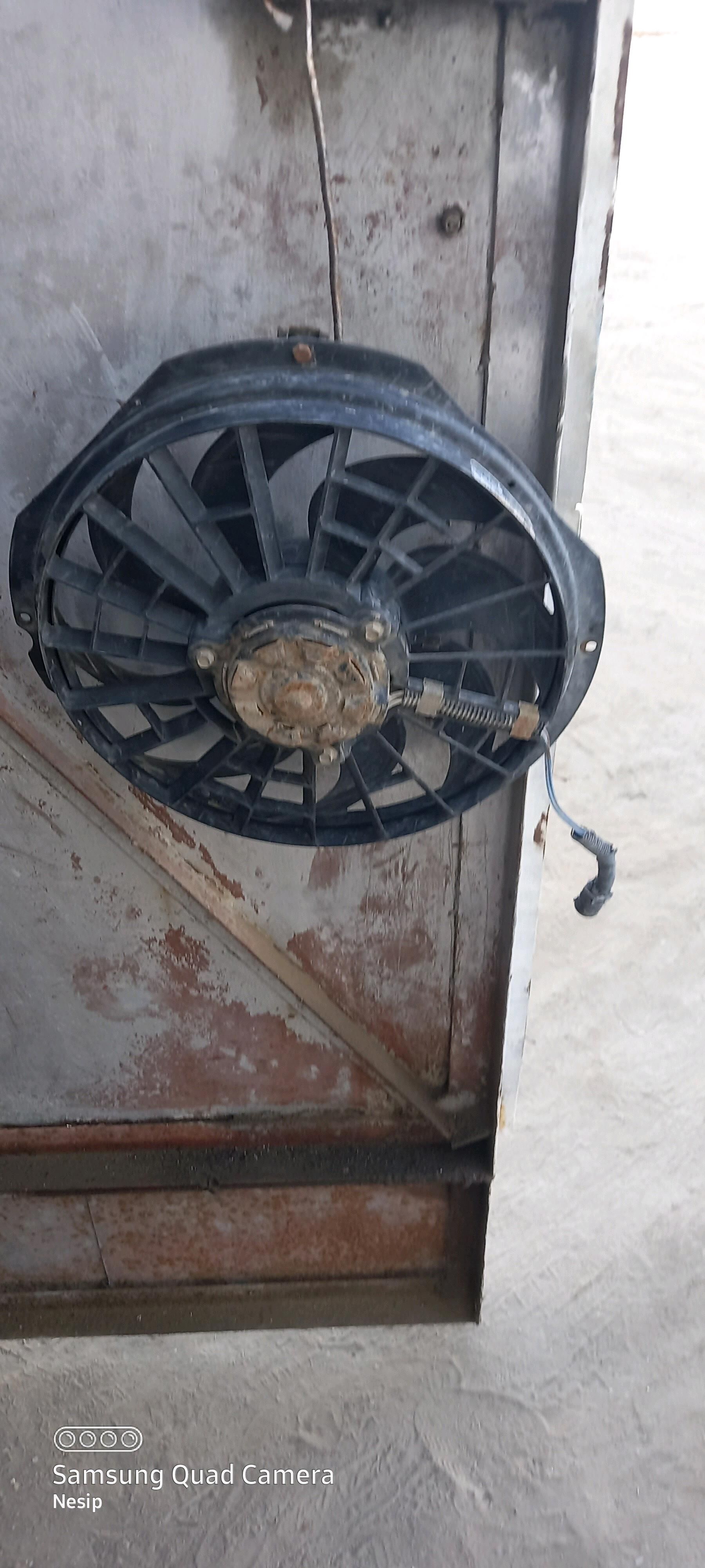 weltiryator lopus per 700 TMT - Esenguly - img 1
