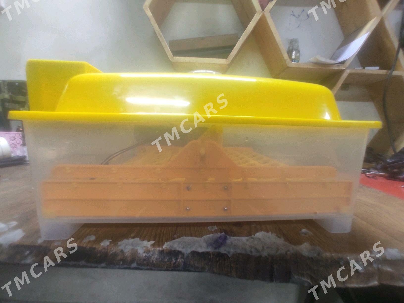 Inkubator 56 ýmrta - Daşoguz - img 2