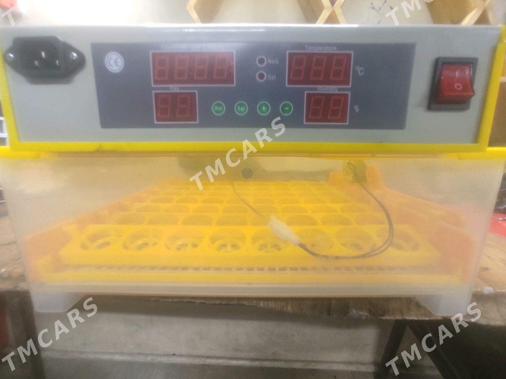 Inkubator 56 ýmrta - Daşoguz - img 3