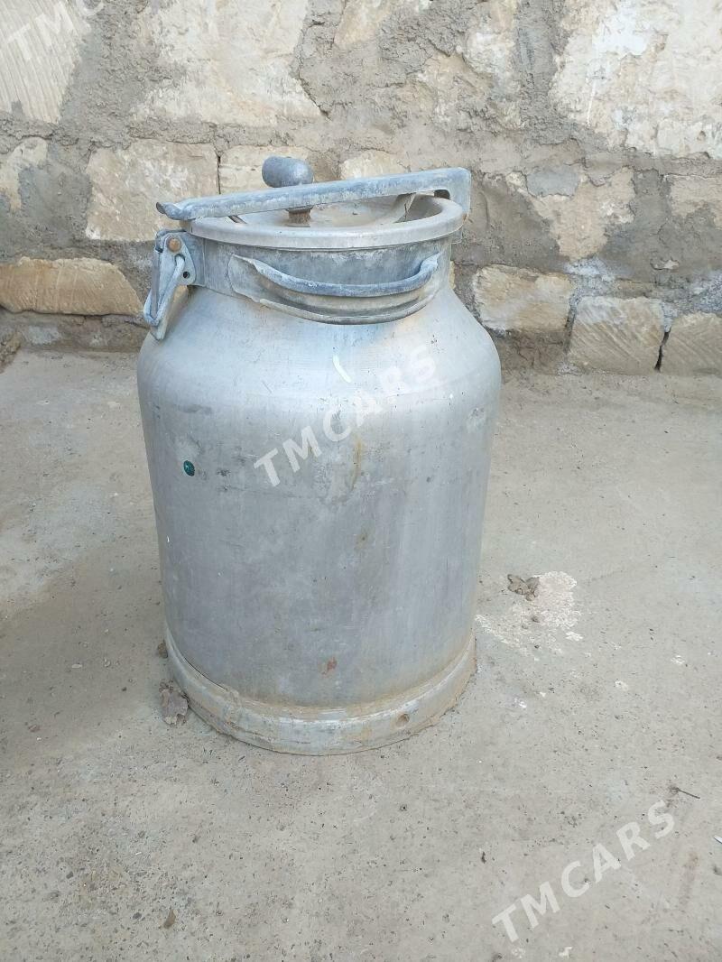 Filýaga ( bedom) 40 l - Türkmenbaşy - img 2
