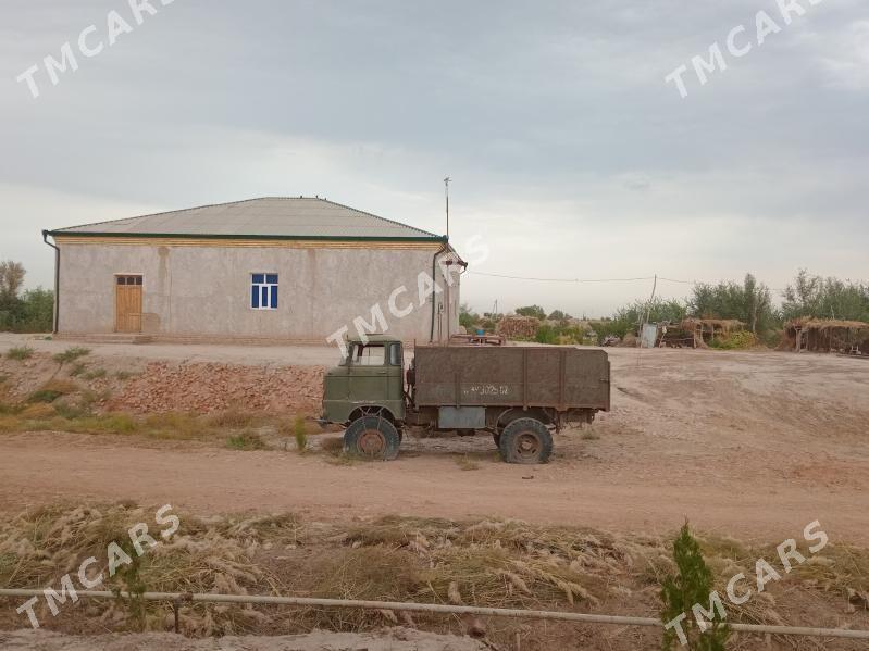 Gaz 66 1980 - 15 000 TMT - Görogly (Tagta) - img 2