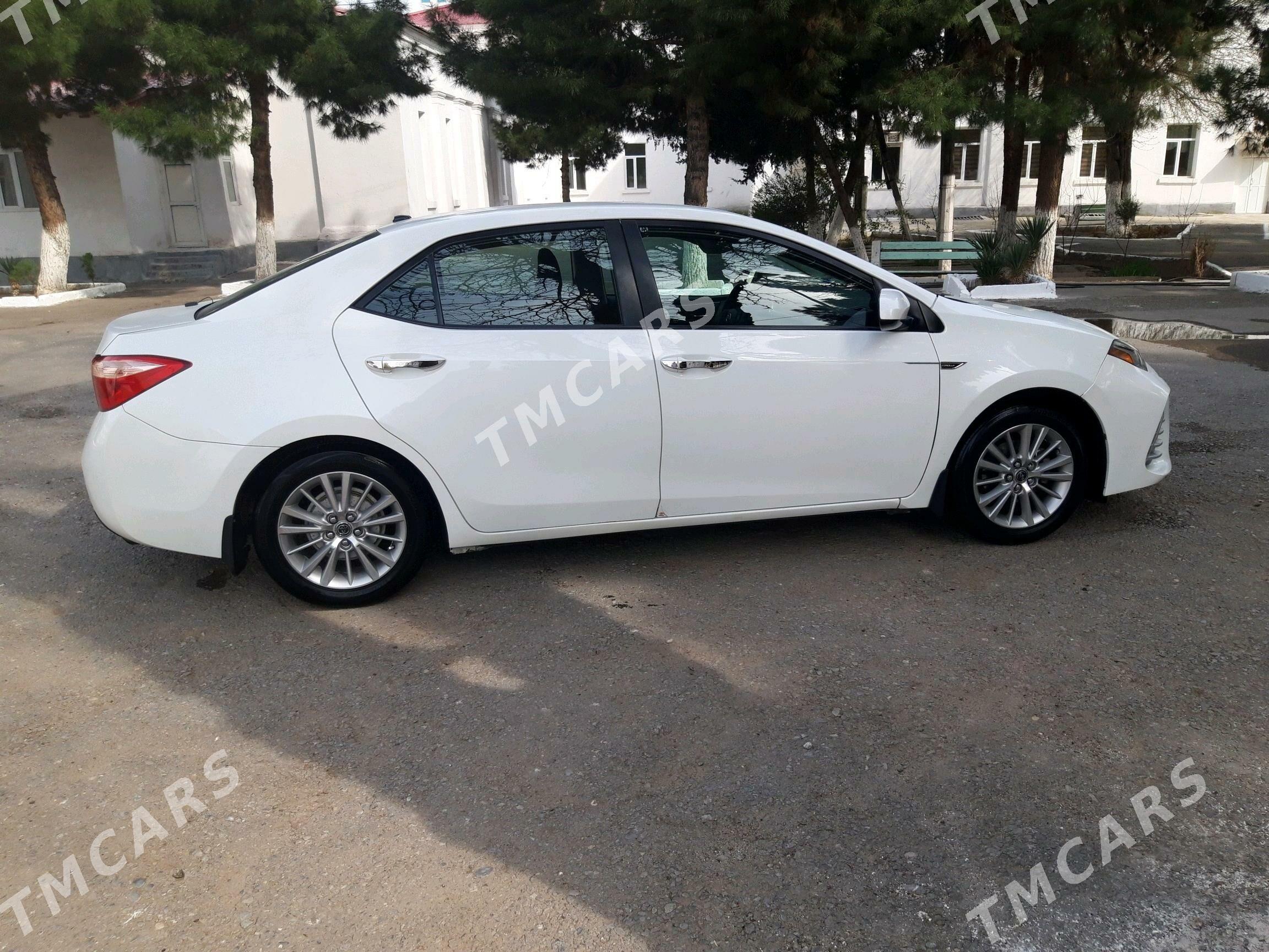 Toyota Corolla 2017 - 175 000 TMT - Çoganly - img 5