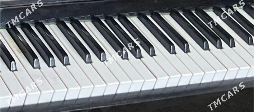 Pianina - Balkanabat - img 3