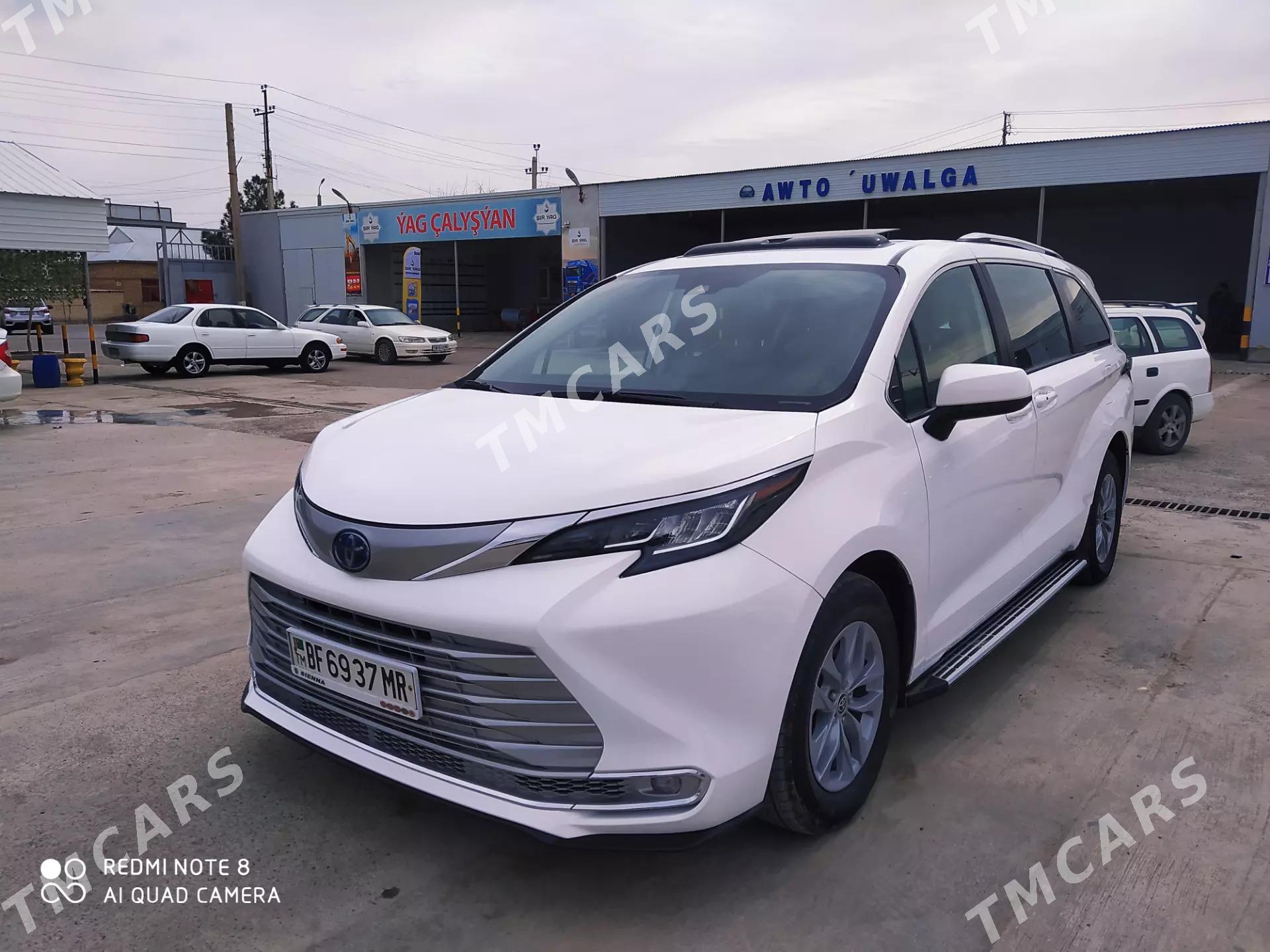 Toyota Sienna 2022 - 540 000 TMT - Mary - img 3