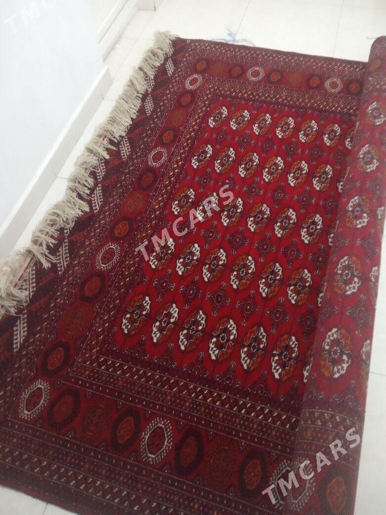Artel El haly - 15-nji tapgyr - img 2