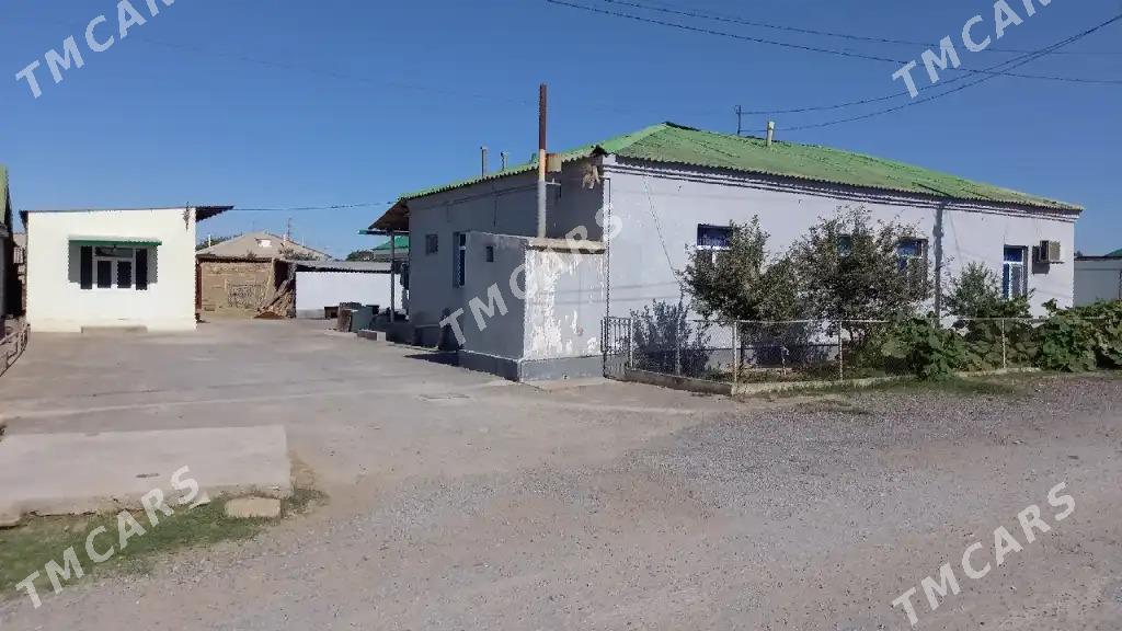 Kone Gami Satlyk jay 10 sotyk - Ак-Бугдайский этрап - img 1