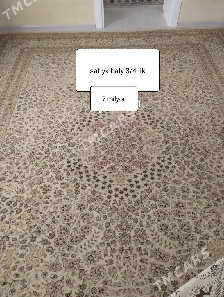 haly - Balkanabat - img 2