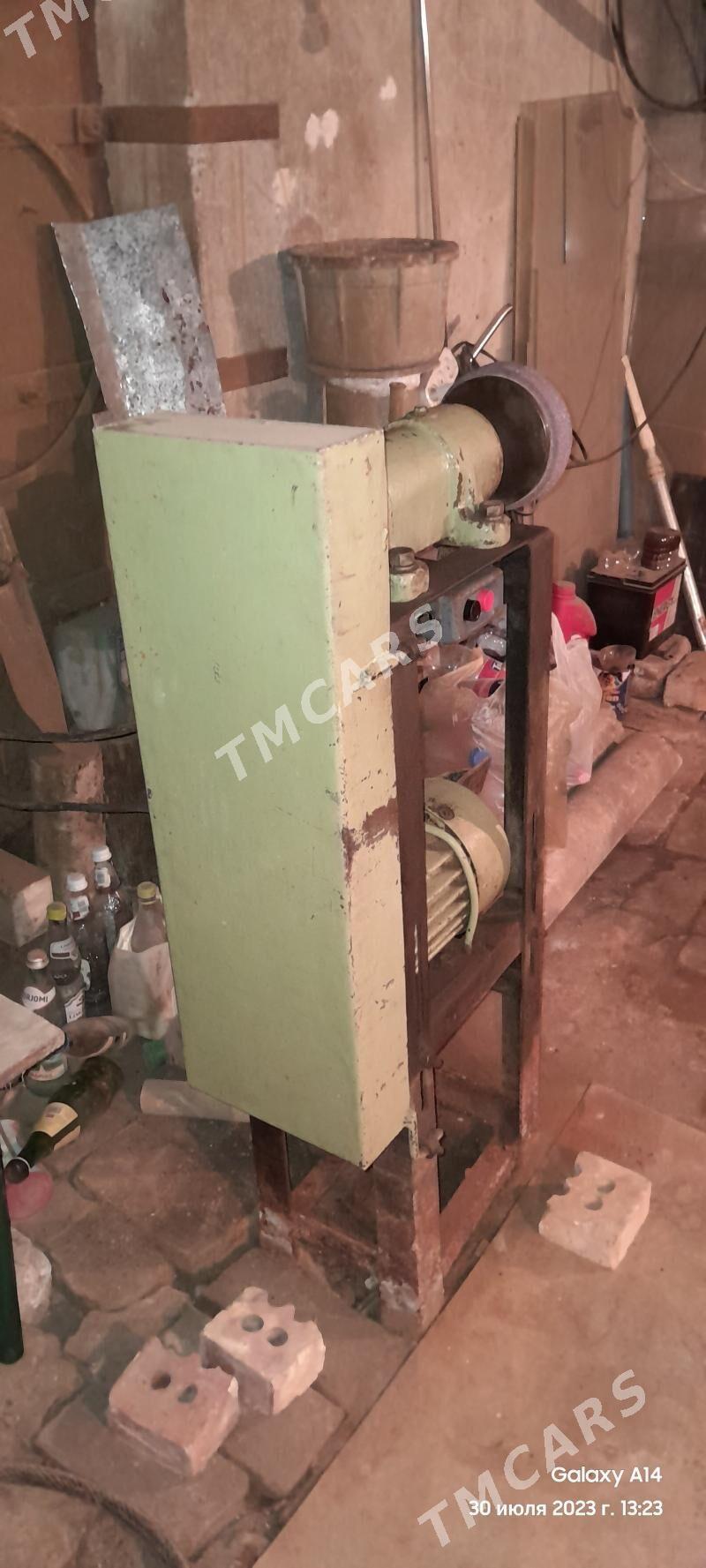taçila stanok - Mary - img 2