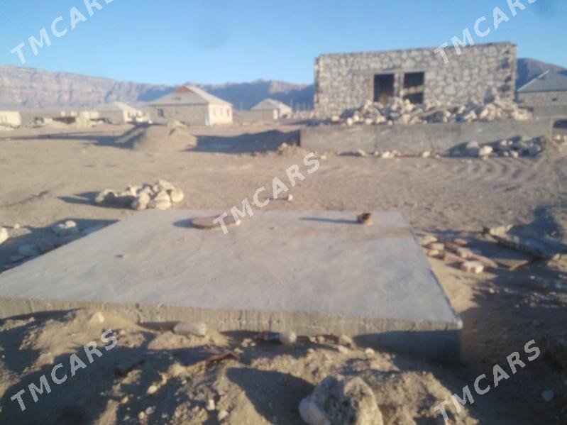 Satlyk jay - Jebel - img 3