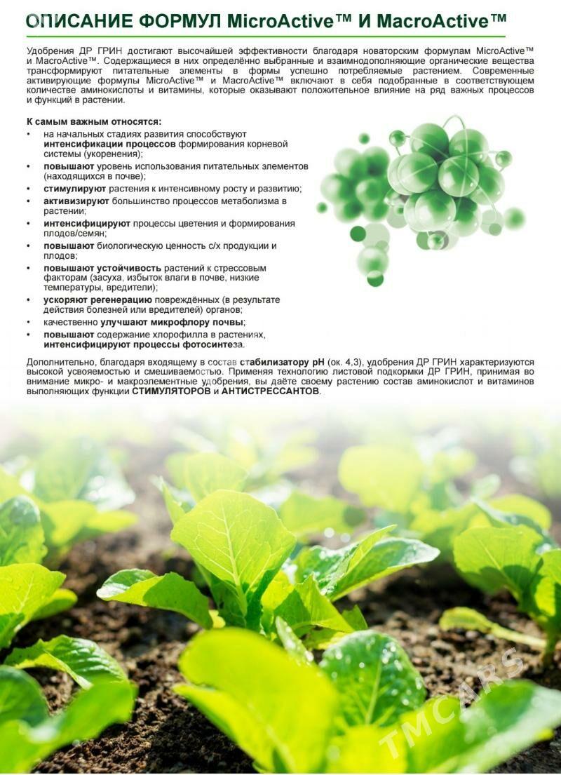 Dr Green - Aşgabat - img 4