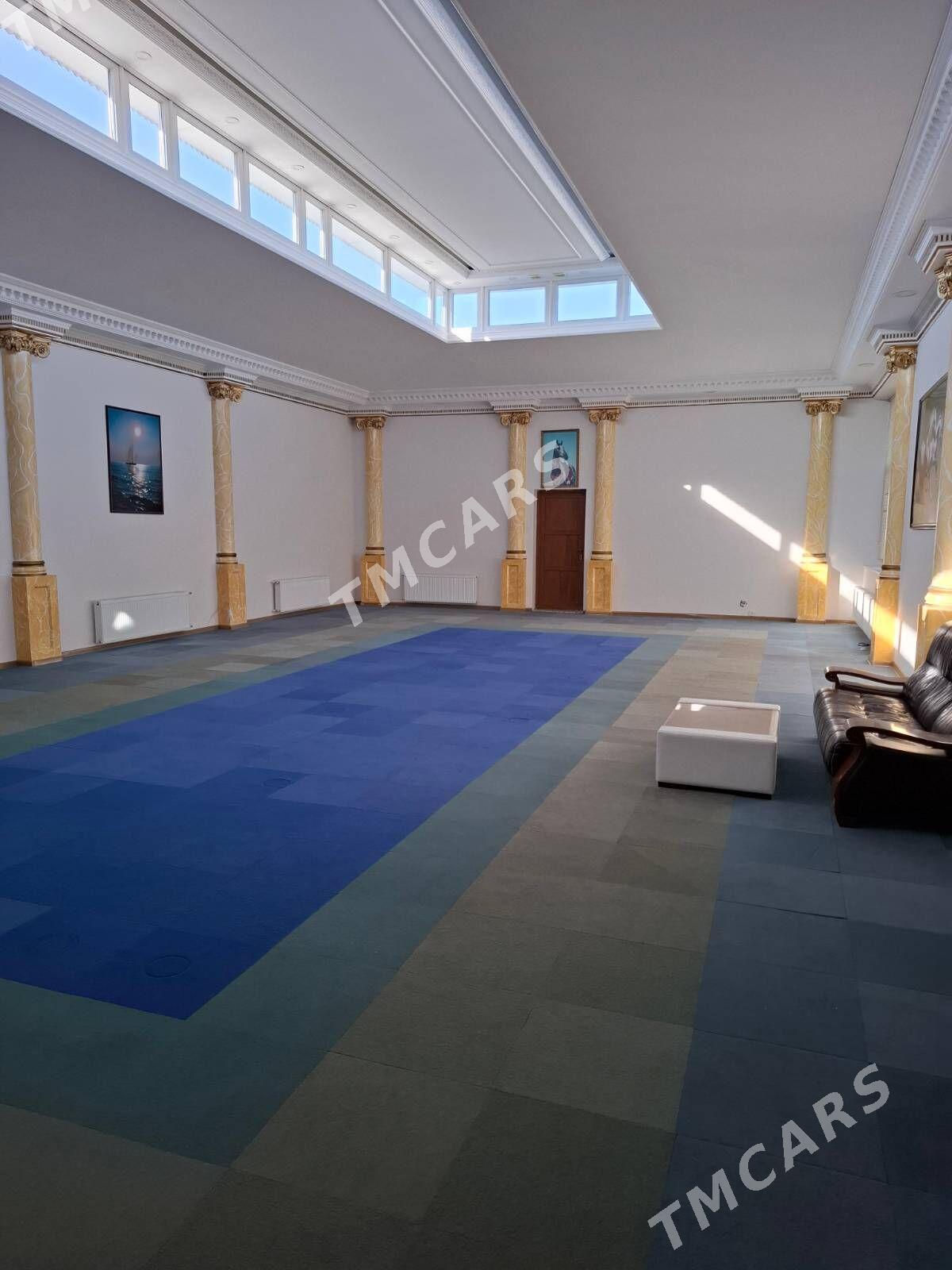 Gokdepe Ak gonurda jay - Gökdepe - img 2