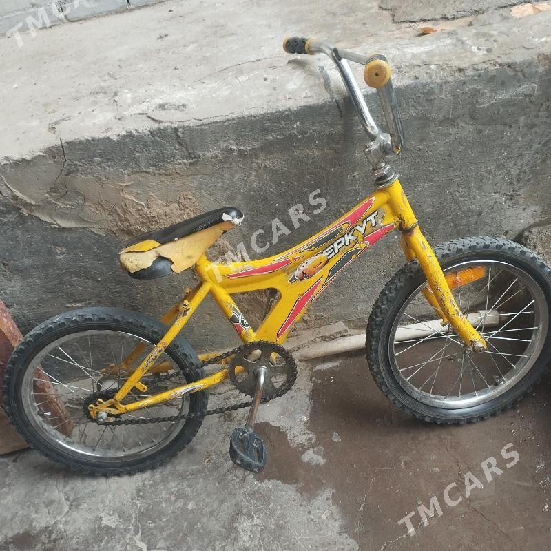 tigir - 30 mkr - img 2